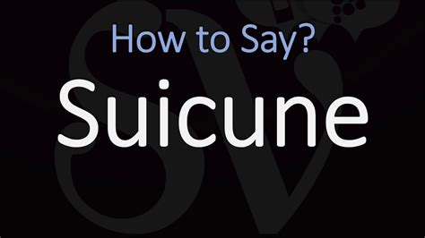zygarde pronunciation|suicune pronunciation.